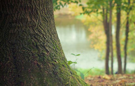 Gruppenstunden in der Waldjugend